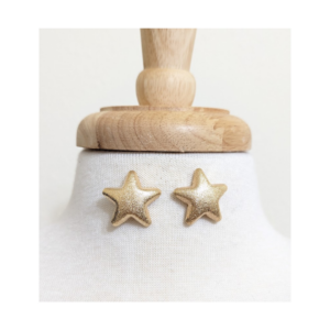 Power Up Star Earring Studs